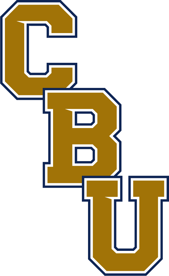 California Baptist Lancers 2017-Pres Wordmark Logo v5 DIY iron on transfer (heat transfer)